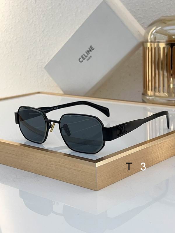 Celine Sunglasses ID:20240804-12